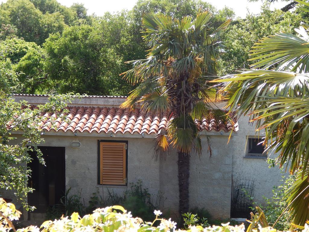 Tomato Appartement Pula